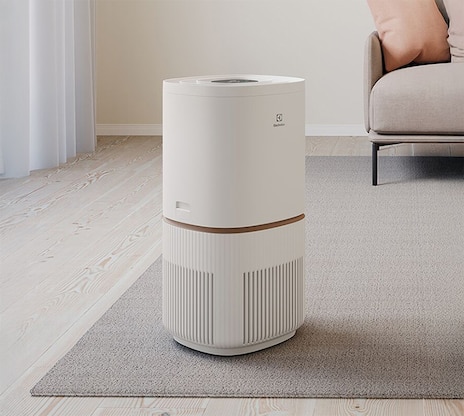 간편한 하루 맞이 생활 필수 가전