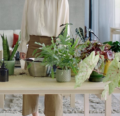 air-purifiers