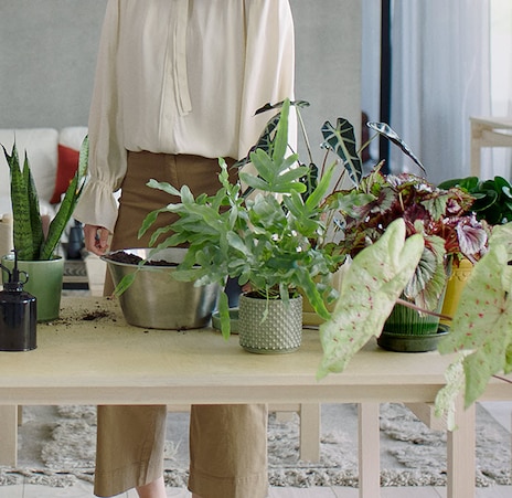 air-purifiers